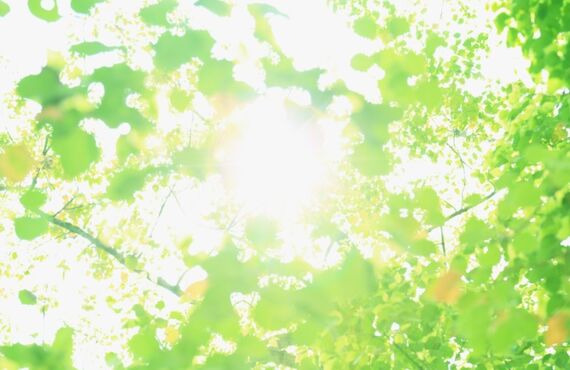 顔のむくみをスッキリさせて小顔を目指しませんか？